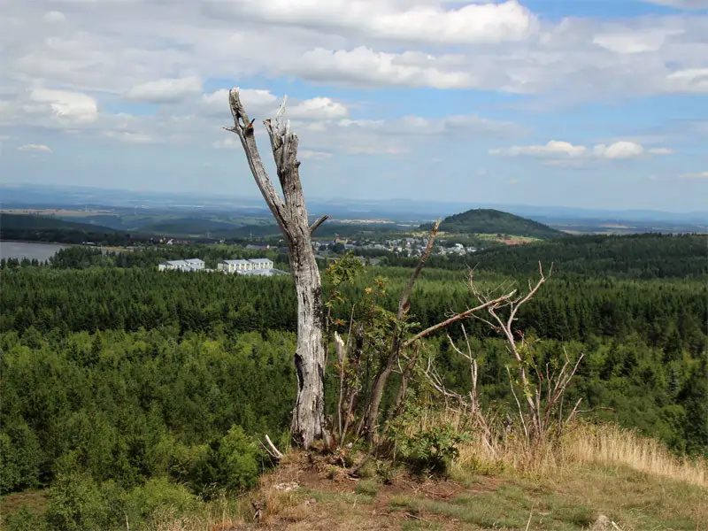 Link zu Naturführern