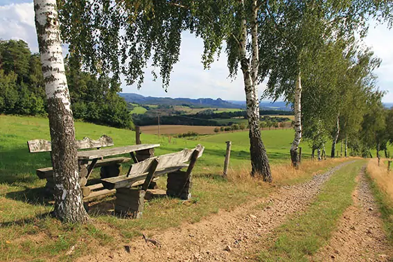 09-Birkenreihe Gossdorf