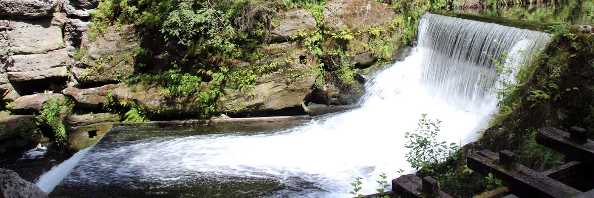 Kamniceklamm in der Böhmischen Schweiz