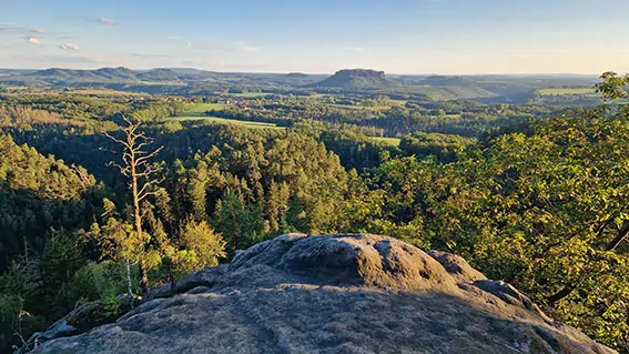 07-Fernblick im Brandgebiet