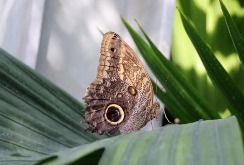 Wanderführer und Reiseführer