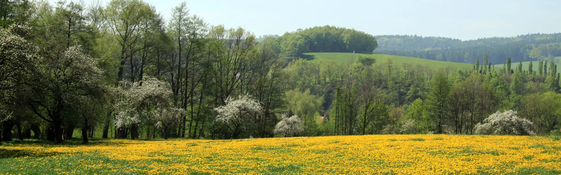 Fruehlingszeit im Erzgebirge