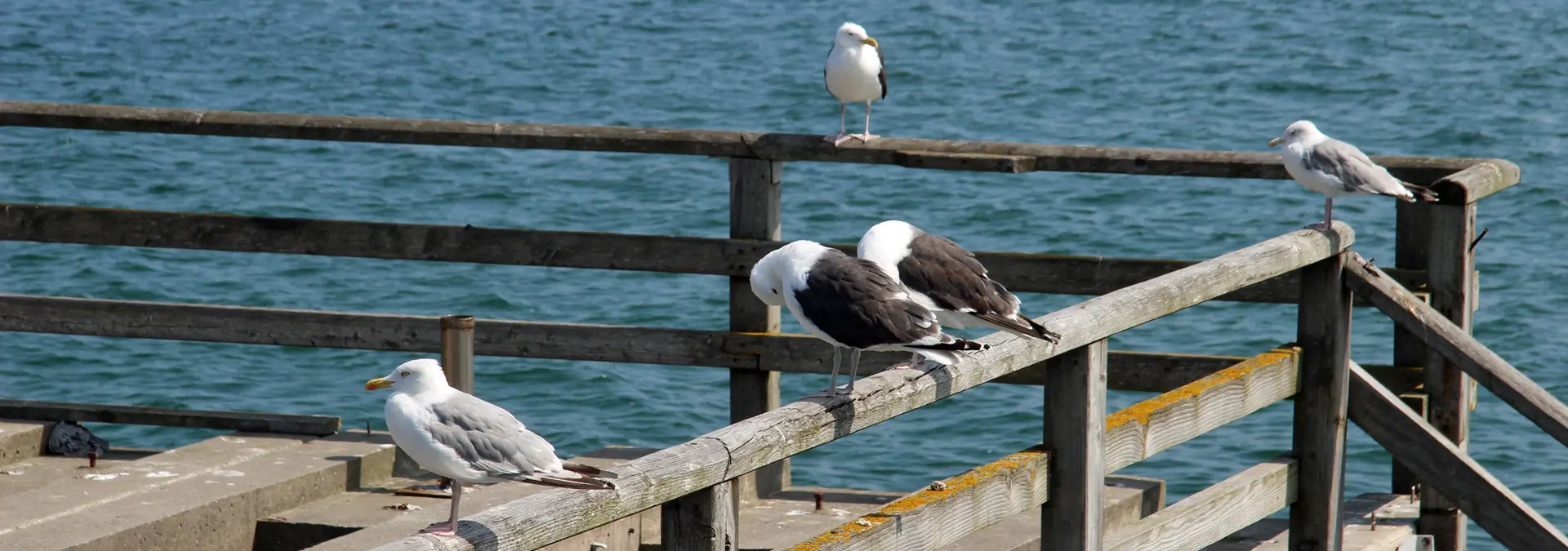 Ostseeküste in Mecklenburg-Vorpommern