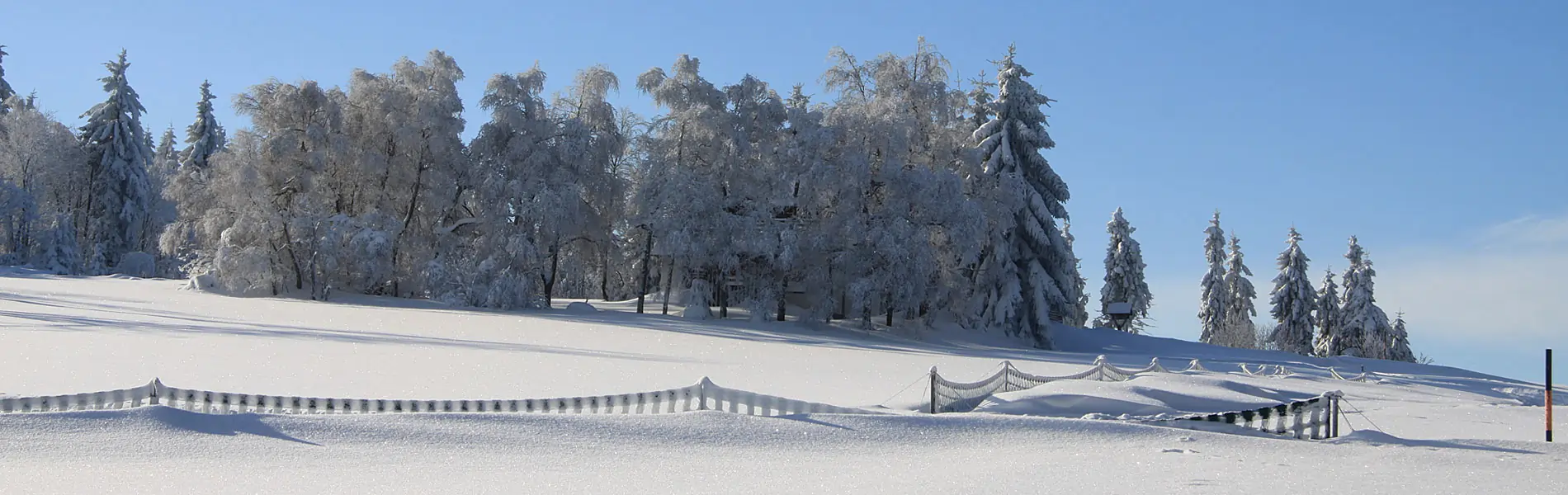 Region-Osterzgebirge im Winter