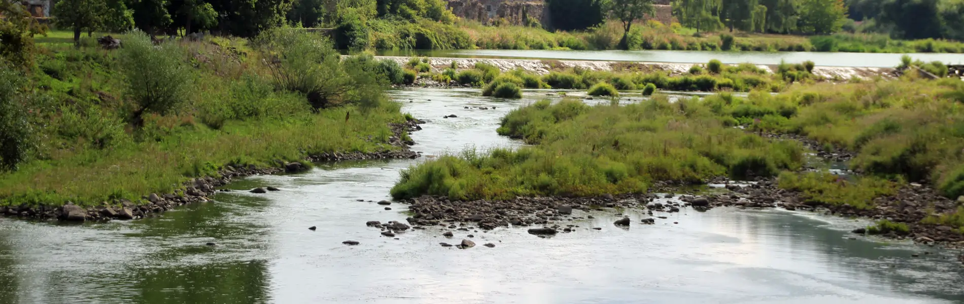 Kloster Buch an der Mulde